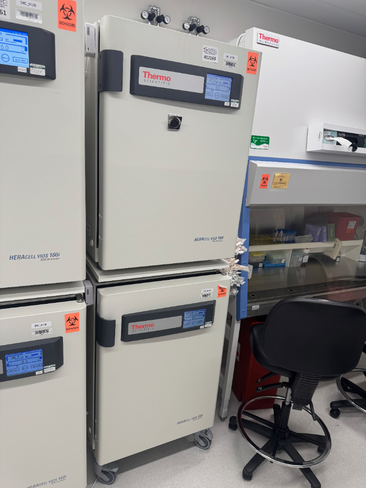 Image of Thermo HERAcell Vios 160i Double Stack CO2 Incubator